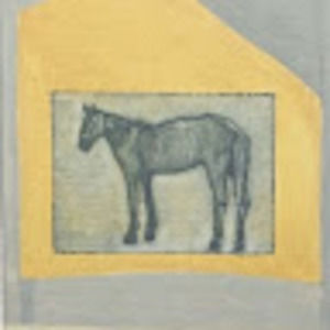 Meet your Posher, Danyelle